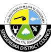 Sengerema District Council